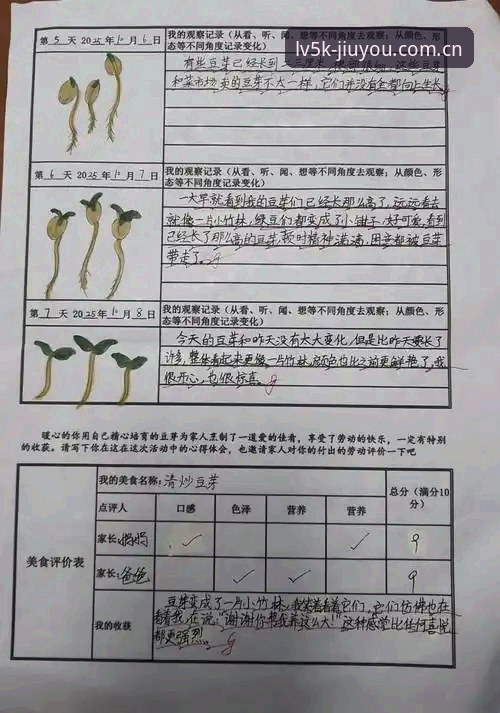 九游官方赛程安装失败 注意,这片叶子自己会走,这是我认真观察后发现的几点